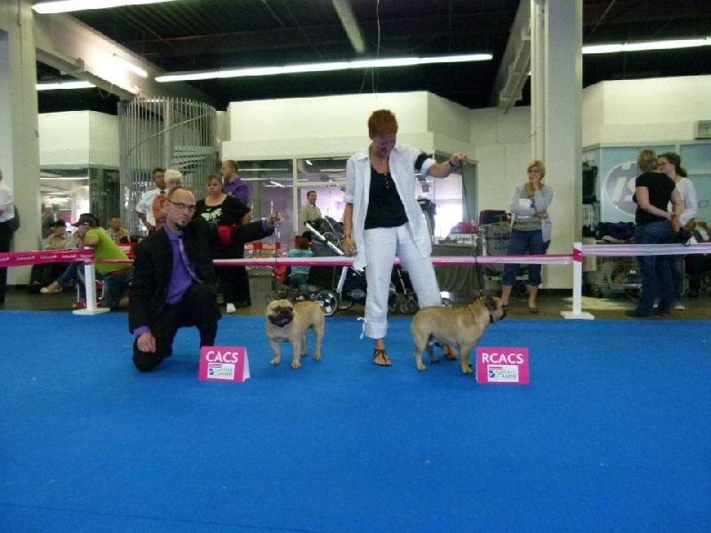 Expo